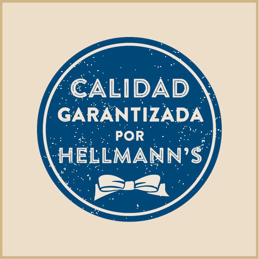 Hellmann's Mayonesa Deli Sachet 528 x 7 gr